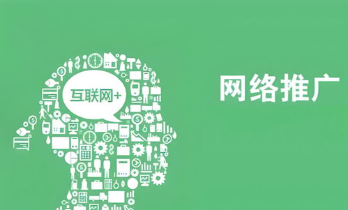 互聯(lián)網(wǎng)推廣中的網(wǎng)絡(luò)文化經(jīng)營(yíng) 策略與實(shí)踐